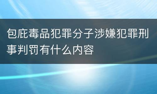包庇毒品犯罪分子涉嫌犯罪刑事判罚有什么内容