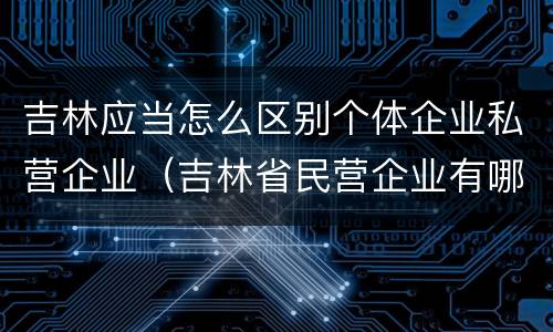 吉林应当怎么区别个体企业私营企业（吉林省民营企业有哪些）