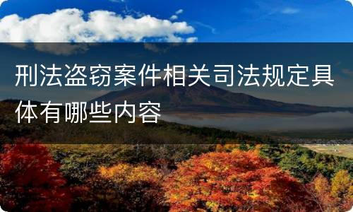 刑法盗窃案件相关司法规定具体有哪些内容