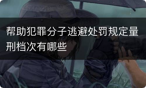 帮助犯罪分子逃避处罚规定量刑档次有哪些