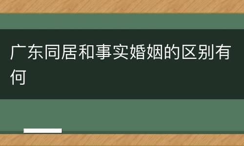 广东同居和事实婚姻的区别有何