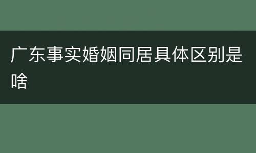 广东事实婚姻同居具体区别是啥