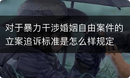 对于暴力干涉婚姻自由案件的立案追诉标准是怎么样规定