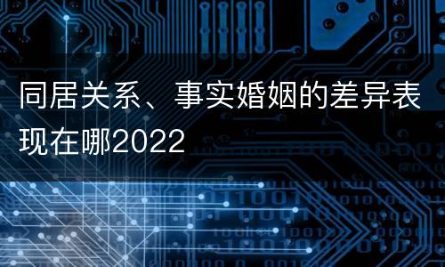 同居关系、事实婚姻的差异表现在哪2022