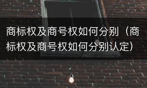 商标权及商号权如何分别（商标权及商号权如何分别认定）