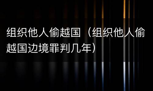 组织他人偷越国（组织他人偷越国边境罪判几年）