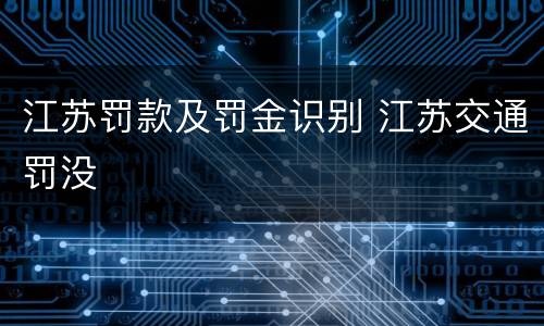 江苏罚款及罚金识别 江苏交通罚没