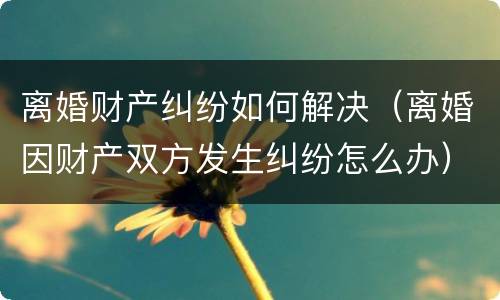 离婚财产纠纷如何解决（离婚因财产双方发生纠纷怎么办）