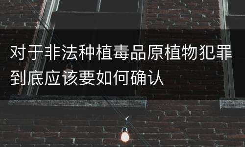 对于非法种植毒品原植物犯罪到底应该要如何确认
