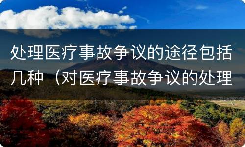 处理医疗事故争议的途径包括几种（对医疗事故争议的处理途径有）