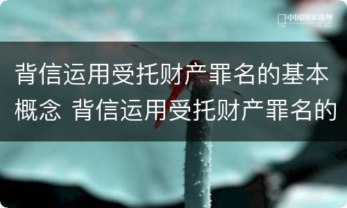 背信运用受托财产罪名的基本概念 背信运用受托财产罪名的基本概念为