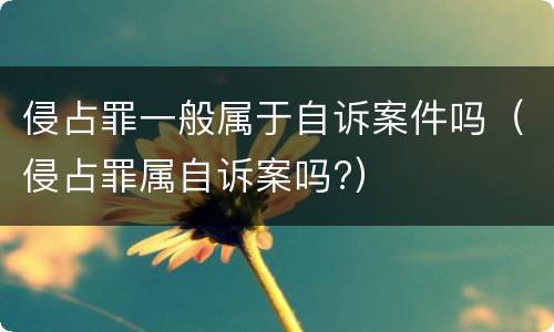 侵占罪一般属于自诉案件吗（侵占罪属自诉案吗?）