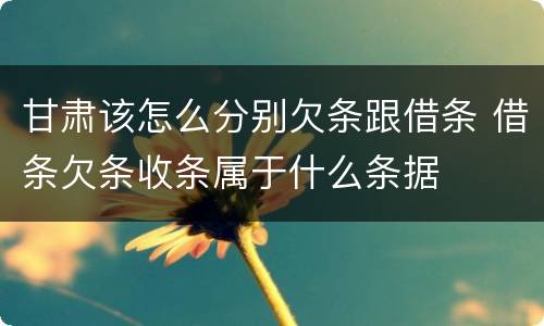 甘肃该怎么分别欠条跟借条 借条欠条收条属于什么条据