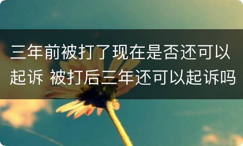 三年前被打了现在是否还可以起诉 被打后三年还可以起诉吗