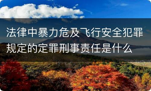 法律中暴力危及飞行安全犯罪规定的定罪刑事责任是什么