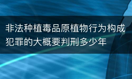 非法种植毒品原植物行为构成犯罪的大概要判刑多少年