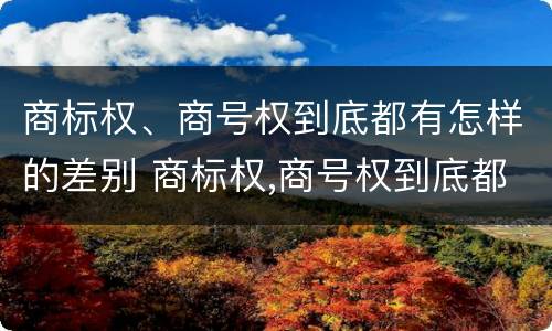 商标权、商号权到底都有怎样的差别 商标权,商号权到底都有怎样的差别