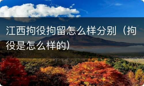江西拘役拘留怎么样分别（拘役是怎么样的）