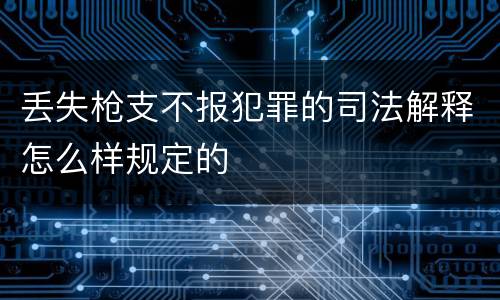 丢失枪支不报犯罪的司法解释怎么样规定的