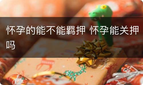 怀孕的能不能羁押 怀孕能关押吗