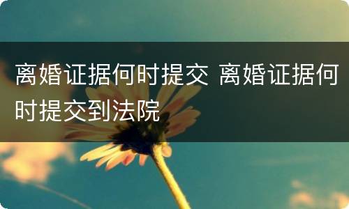 离婚证据何时提交 离婚证据何时提交到法院