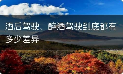 酒后驾驶、醉酒驾驶到底都有多少差异