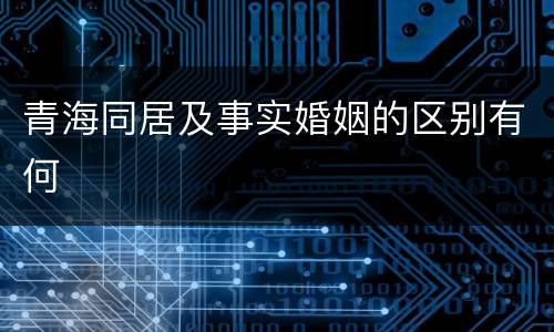 青海同居及事实婚姻的区别有何