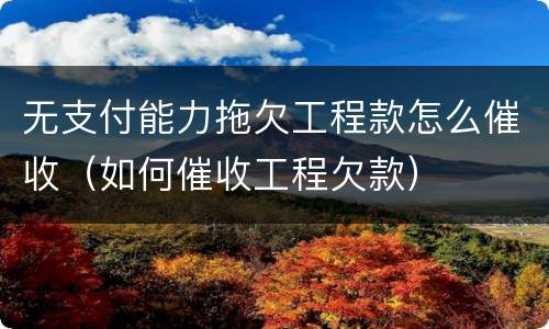 无支付能力拖欠工程款怎么催收（如何催收工程欠款）