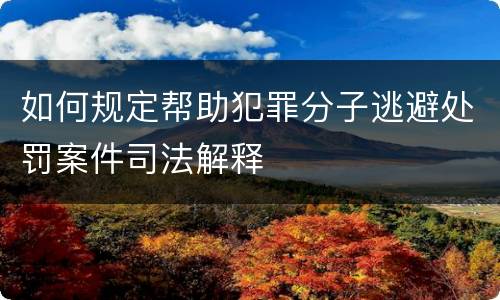 如何规定帮助犯罪分子逃避处罚案件司法解释