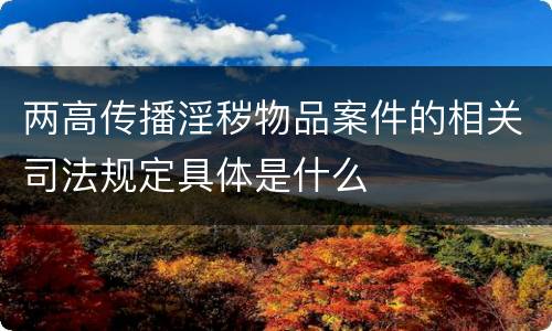 两高传播淫秽物品案件的相关司法规定具体是什么