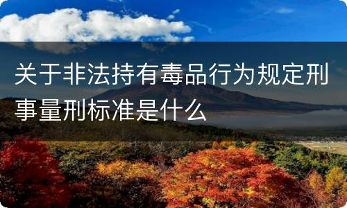 关于非法持有毒品行为规定刑事量刑标准是什么