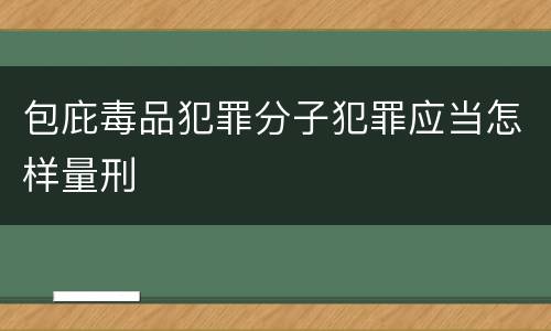 包庇毒品犯罪分子犯罪应当怎样量刑