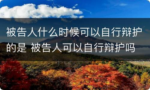 被告人什么时候可以自行辩护的是 被告人可以自行辩护吗