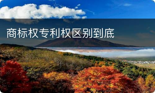 商标权专利权区别到底