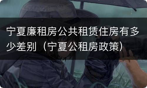 宁夏廉租房公共租赁住房有多少差别（宁夏公租房政策）