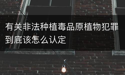 有关非法种植毒品原植物犯罪到底该怎么认定