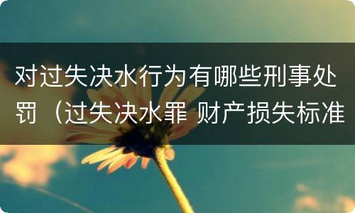 对过失决水行为有哪些刑事处罚（过失决水罪 财产损失标准）