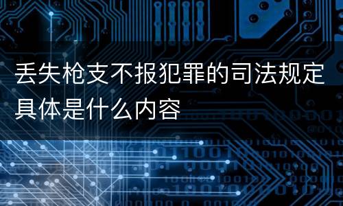 丢失枪支不报犯罪的司法规定具体是什么内容