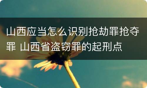山西应当怎么识别抢劫罪抢夺罪 山西省盗窃罪的起刑点