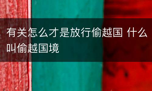 有关怎么才是放行偷越国 什么叫偷越国境