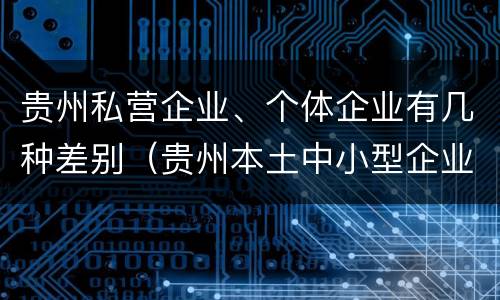 贵州私营企业、个体企业有几种差别（贵州本土中小型企业有哪些）