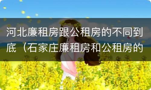 河北廉租房跟公租房的不同到底（石家庄廉租房和公租房的区别）