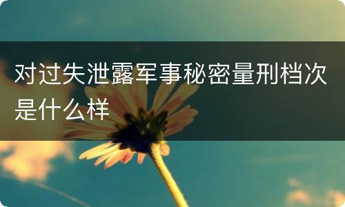 对过失泄露军事秘密量刑档次是什么样