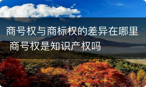 商号权与商标权的差异在哪里 商号权是知识产权吗