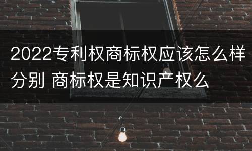 2022专利权商标权应该怎么样分别 商标权是知识产权么
