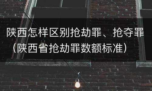 陕西怎样区别抢劫罪、抢夺罪（陕西省抢劫罪数额标准）
