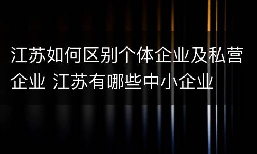 江苏如何区别个体企业及私营企业 江苏有哪些中小企业