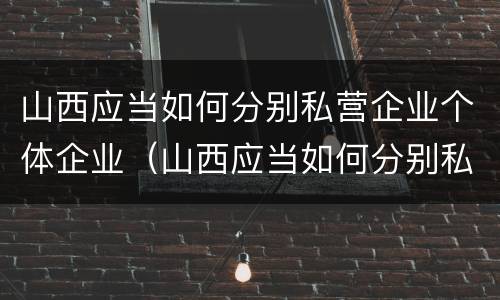 山西应当如何分别私营企业个体企业（山西应当如何分别私营企业个体企业和公司）