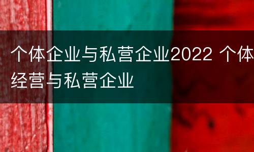 个体企业与私营企业2022 个体经营与私营企业
