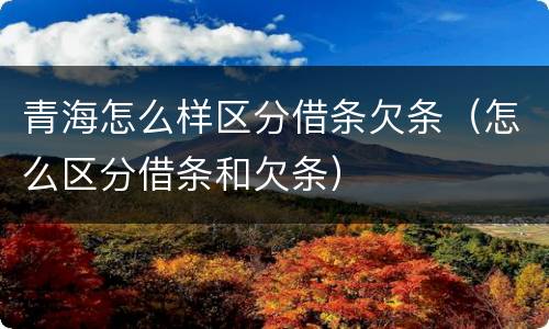 青海怎么样区分借条欠条（怎么区分借条和欠条）